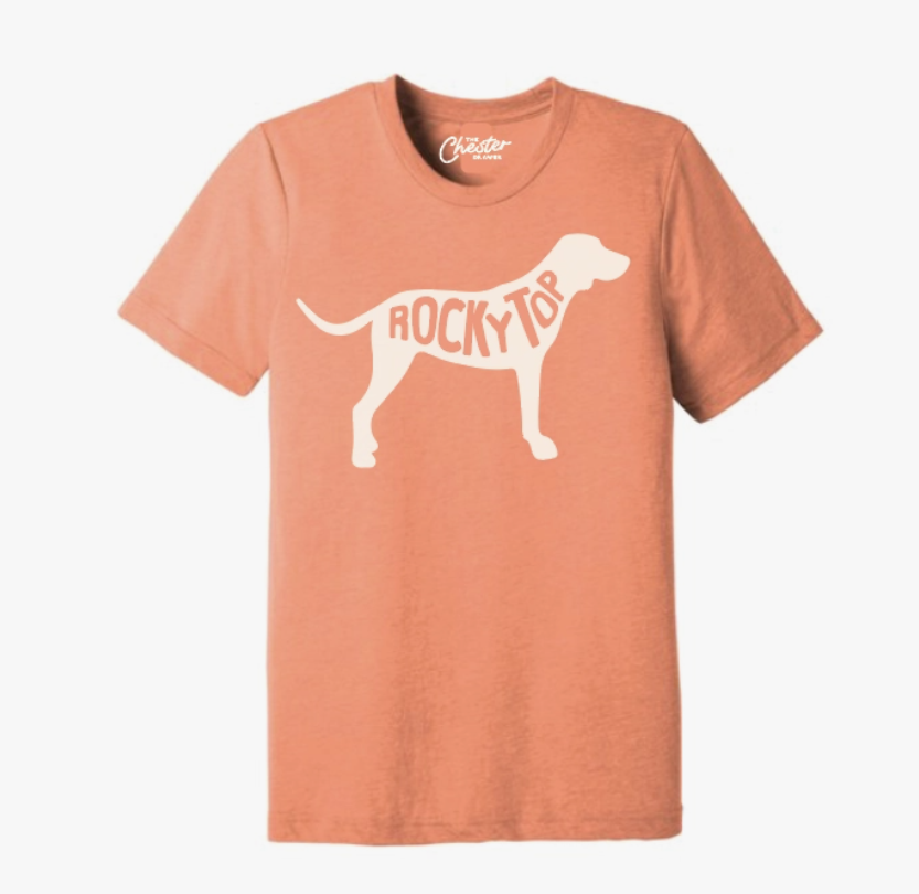 Get Your Dog Game-Day Ready With These Sporty Dog Jerseys